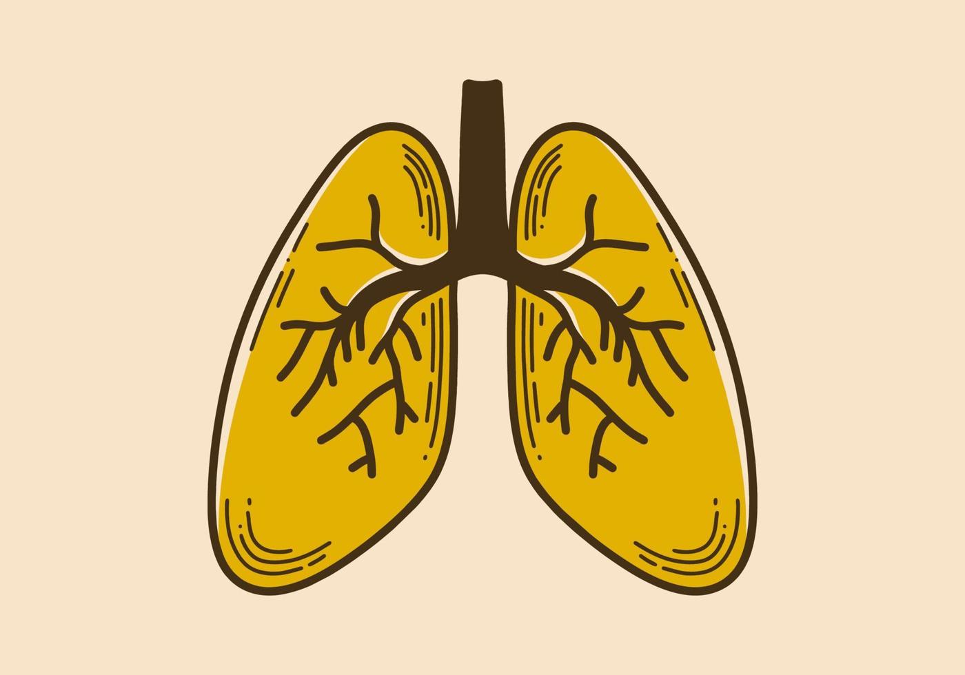 Vintage style illustration of a human lungs vector