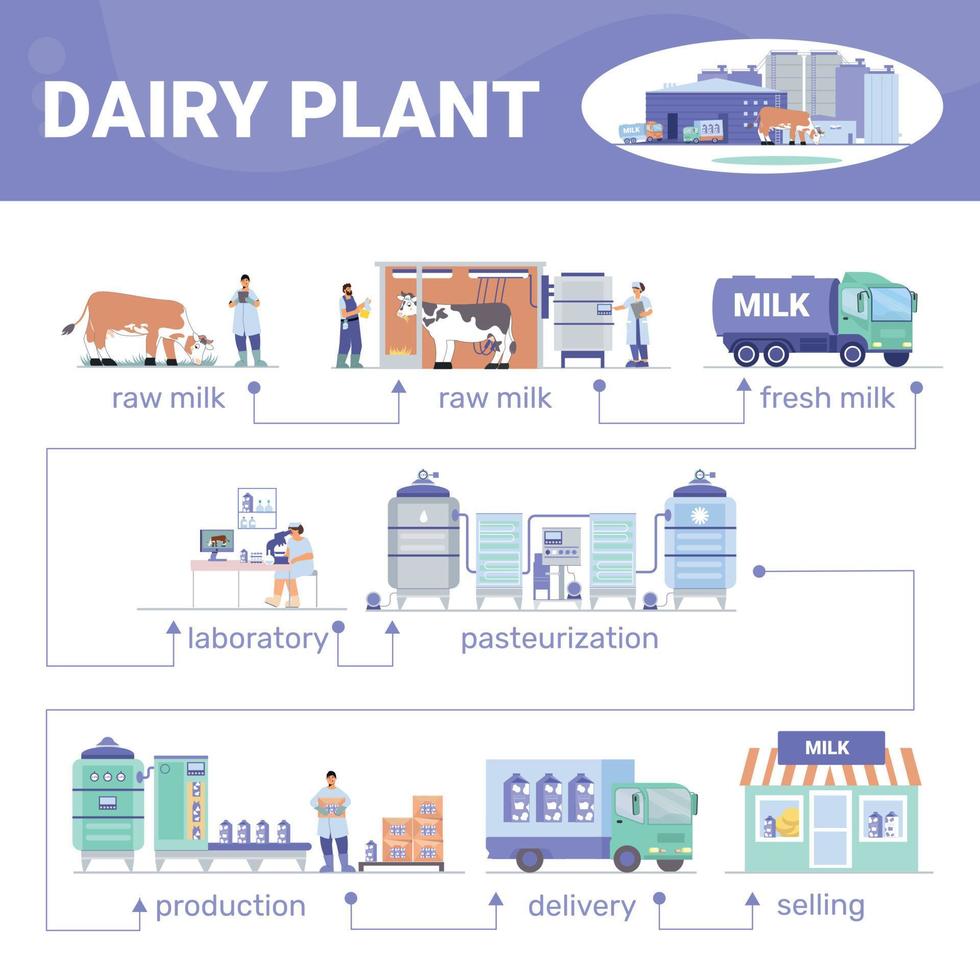 Dairy Plant Flat Infographics vector
