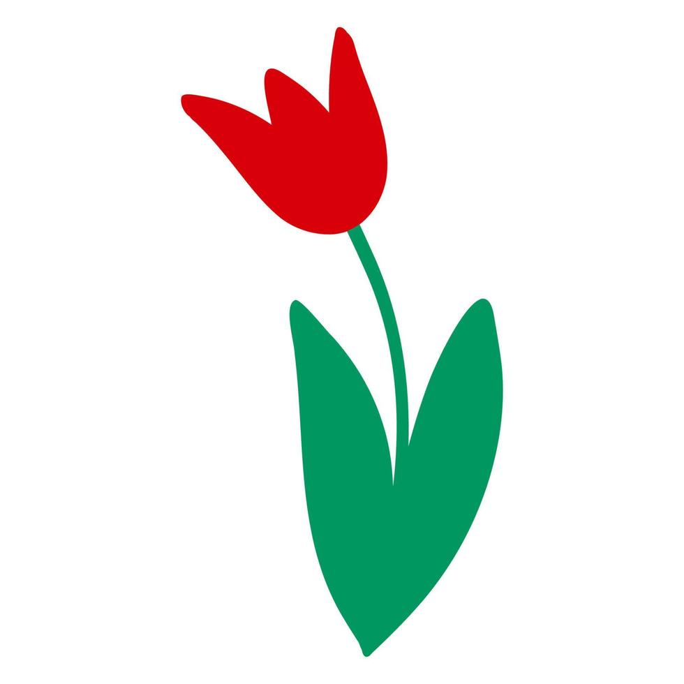 Red tulip flower. Vector illustration