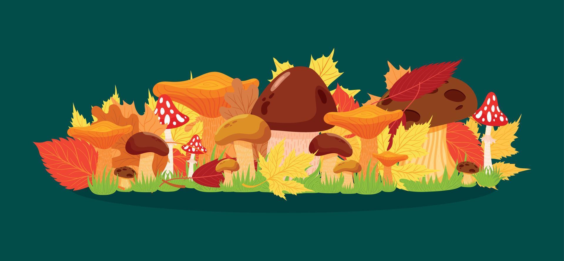Cute different leaves, mushrooms. Fall seasonal elements vector illustration