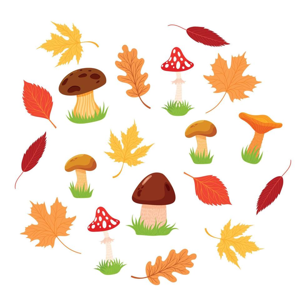 conjunto de hojas de otoño. lindas hojas diferentes, champiñones. ilustración de vector de elementos estacionales de otoño