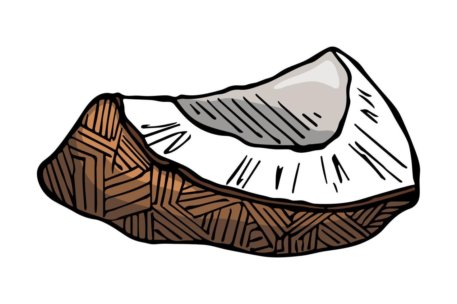 Coconut cliparts. Hand drawn nut icon. Tropical illustration. For print, web, design, decor vector