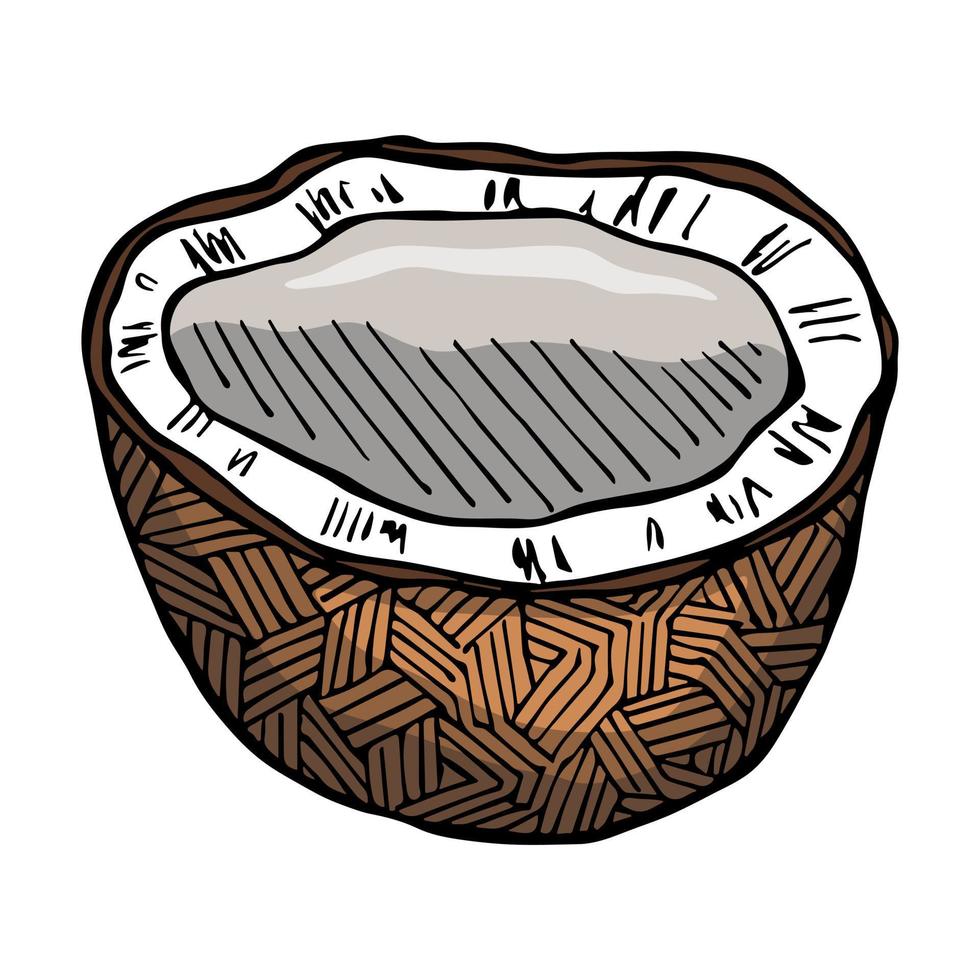 Coconut cliparts. Hand drawn nut icon. Tropical illustration. For print, web, design, decor vector