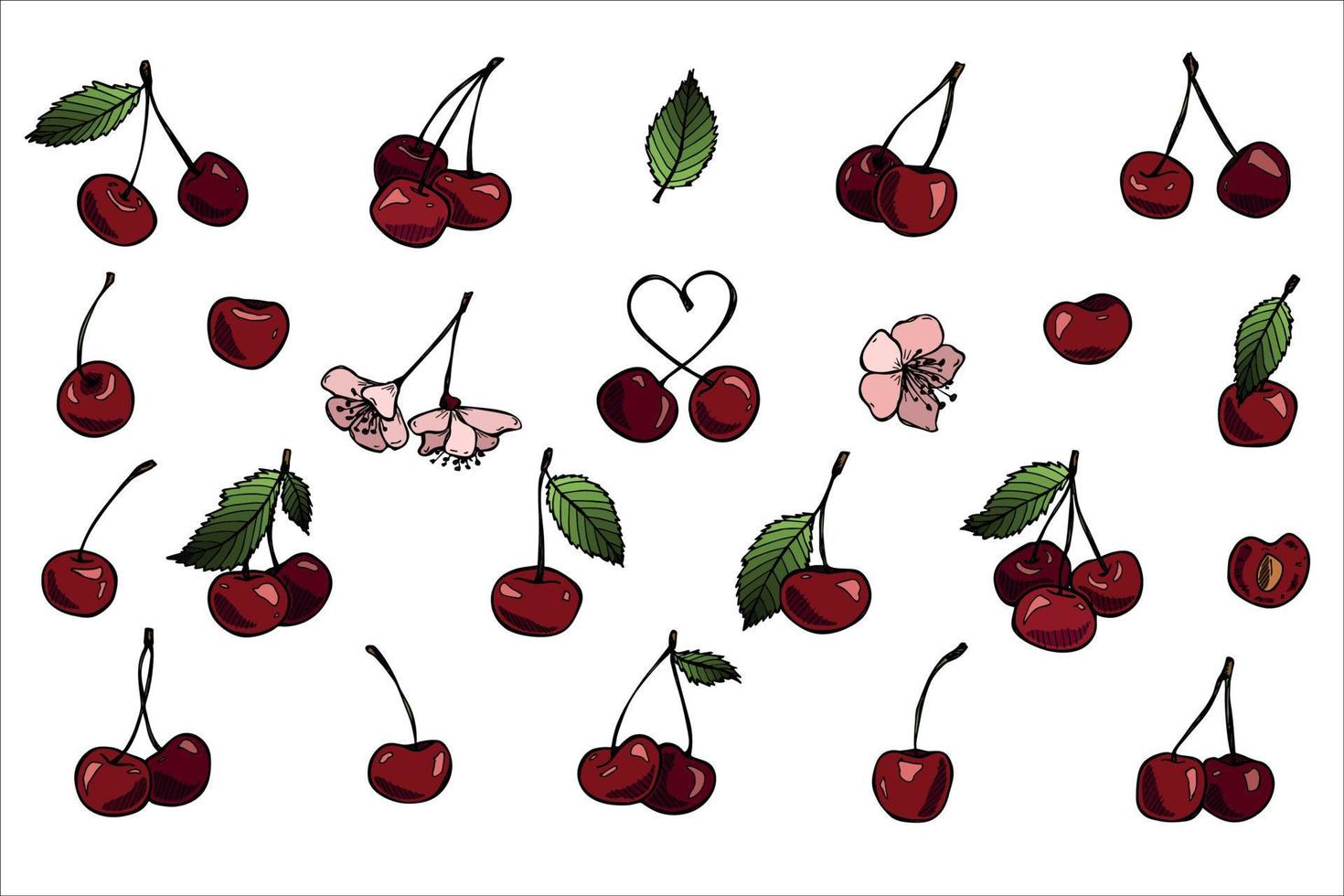 Vector cherry clipart. Hand drawn berry icon. Set of fruit illustration