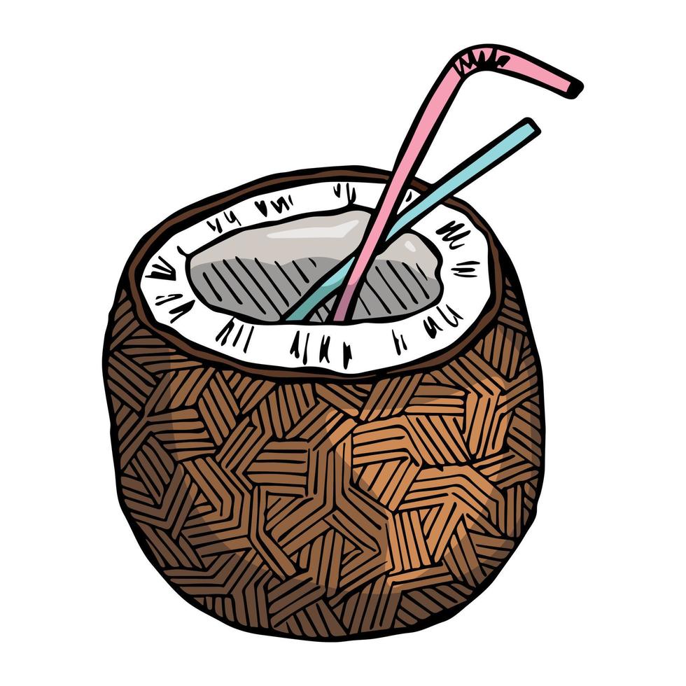 Coconut cliparts. Hand drawn nut icon. Tropical illustration. For print, web, design, decor vector
