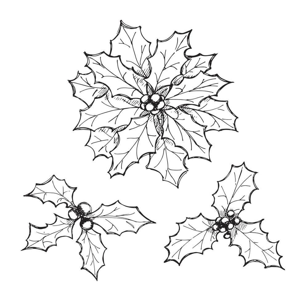 dibujado a mano navidad y año nuevo hojas de acebo con bayas. Imágenes Prediseñadas de vacaciones vector