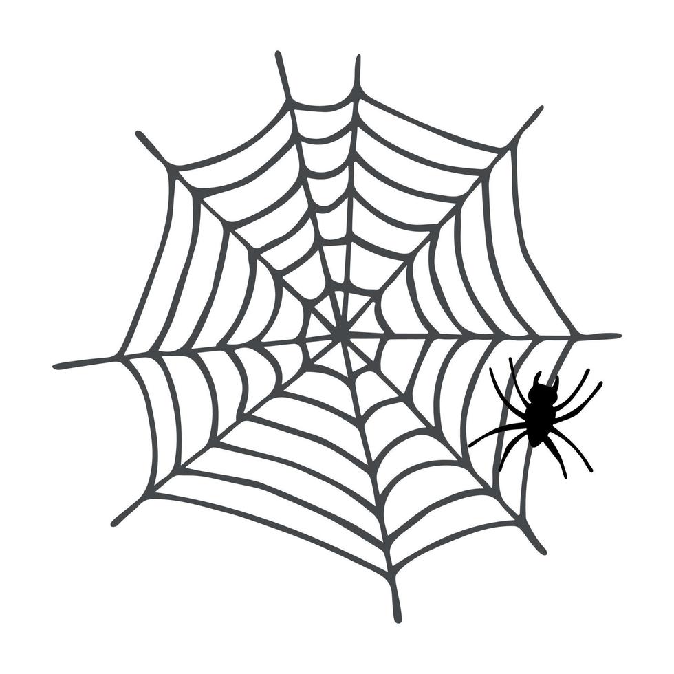 Simple hand drawn spider web illustration. Cute gossamer clipart. Halloween doodle for print, web, design, decor, logo vector