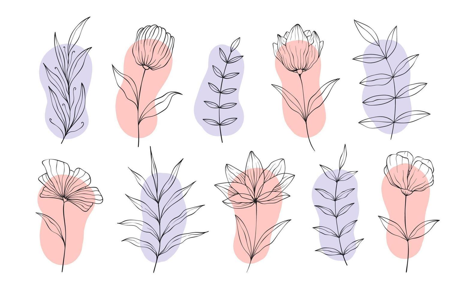 conjunto de elementos florales botánicos dibujados a mano. ilustración vectorial aislado sobre fondo blanco vector