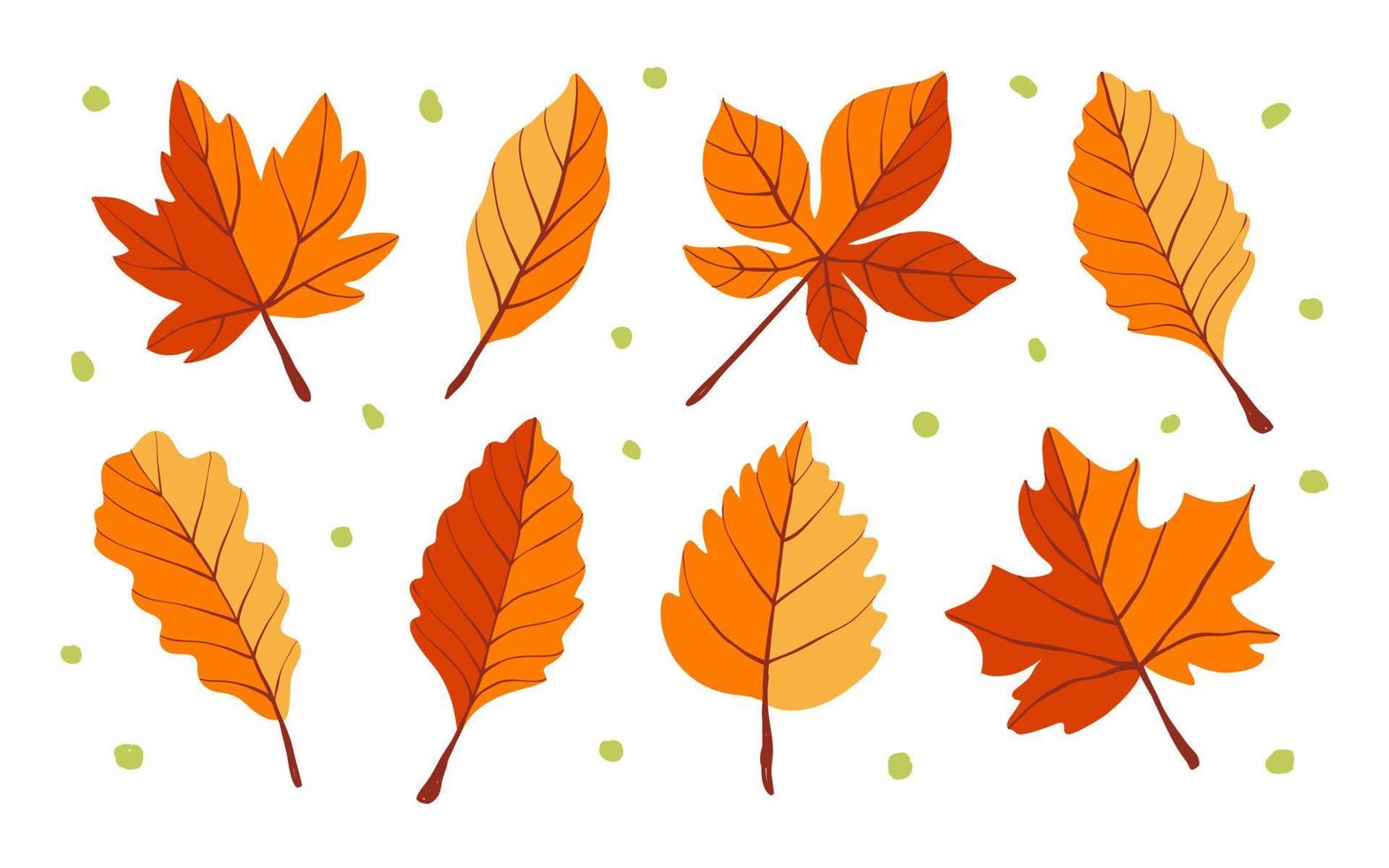 Set of hand drawn autumn leaves. Vector illustration isolated on white background