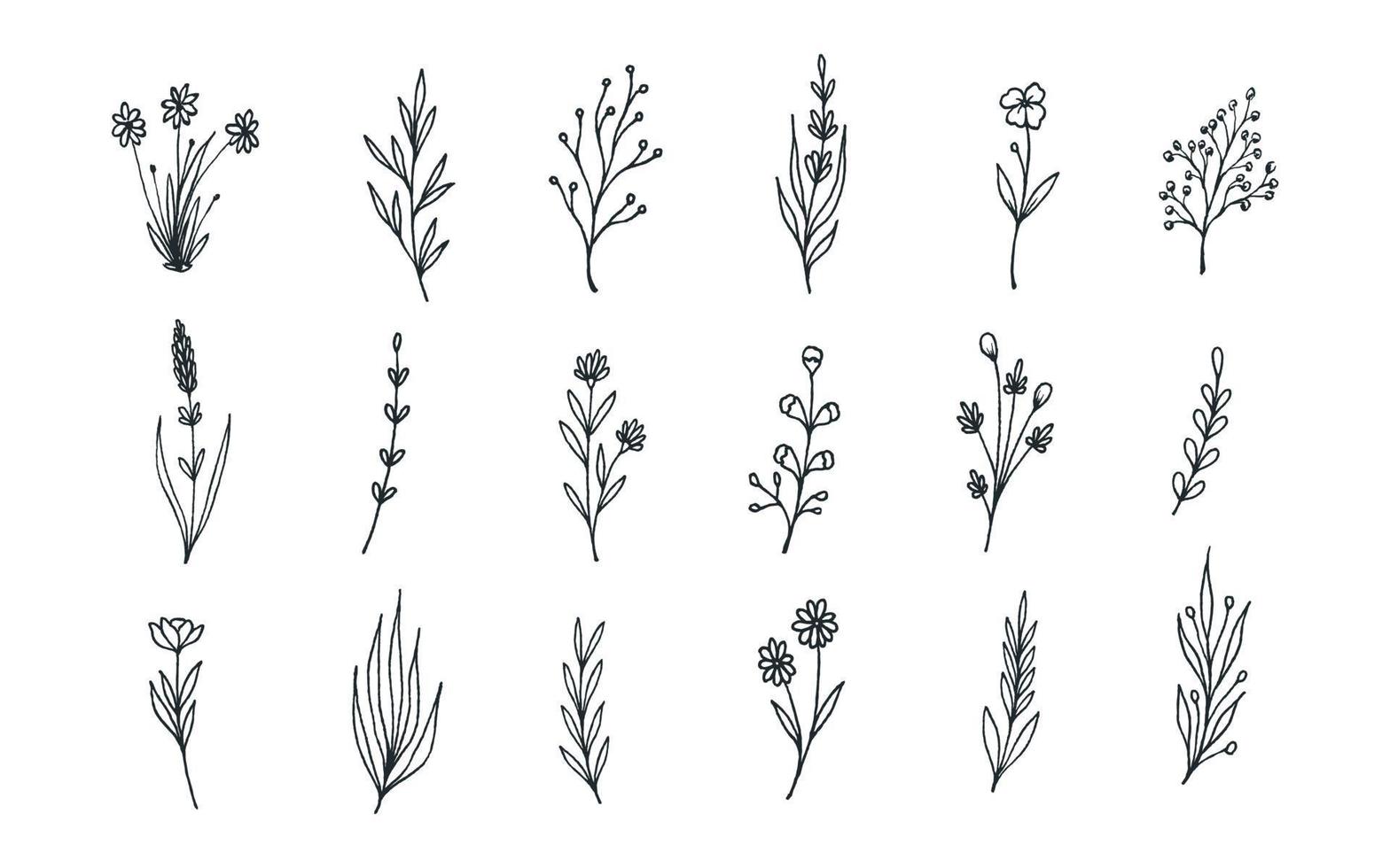 Set of hand drawn botanical flower elements. Vector illustration isolated on white background