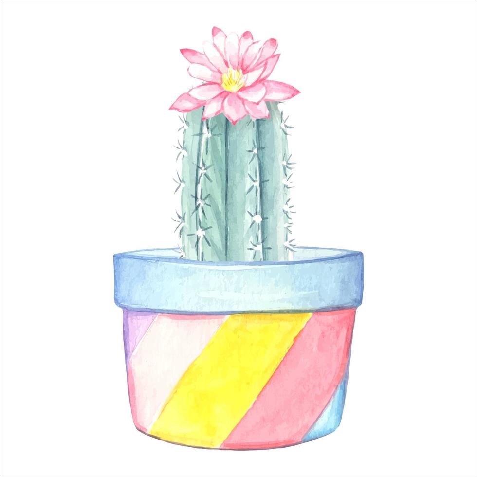 cactus floreciente en una olla. ilustración acuarela vector