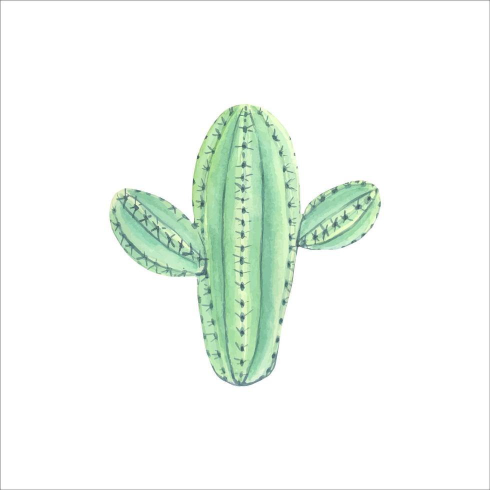 Watercolor cactus ,elements for invitations, greeting cards. vector