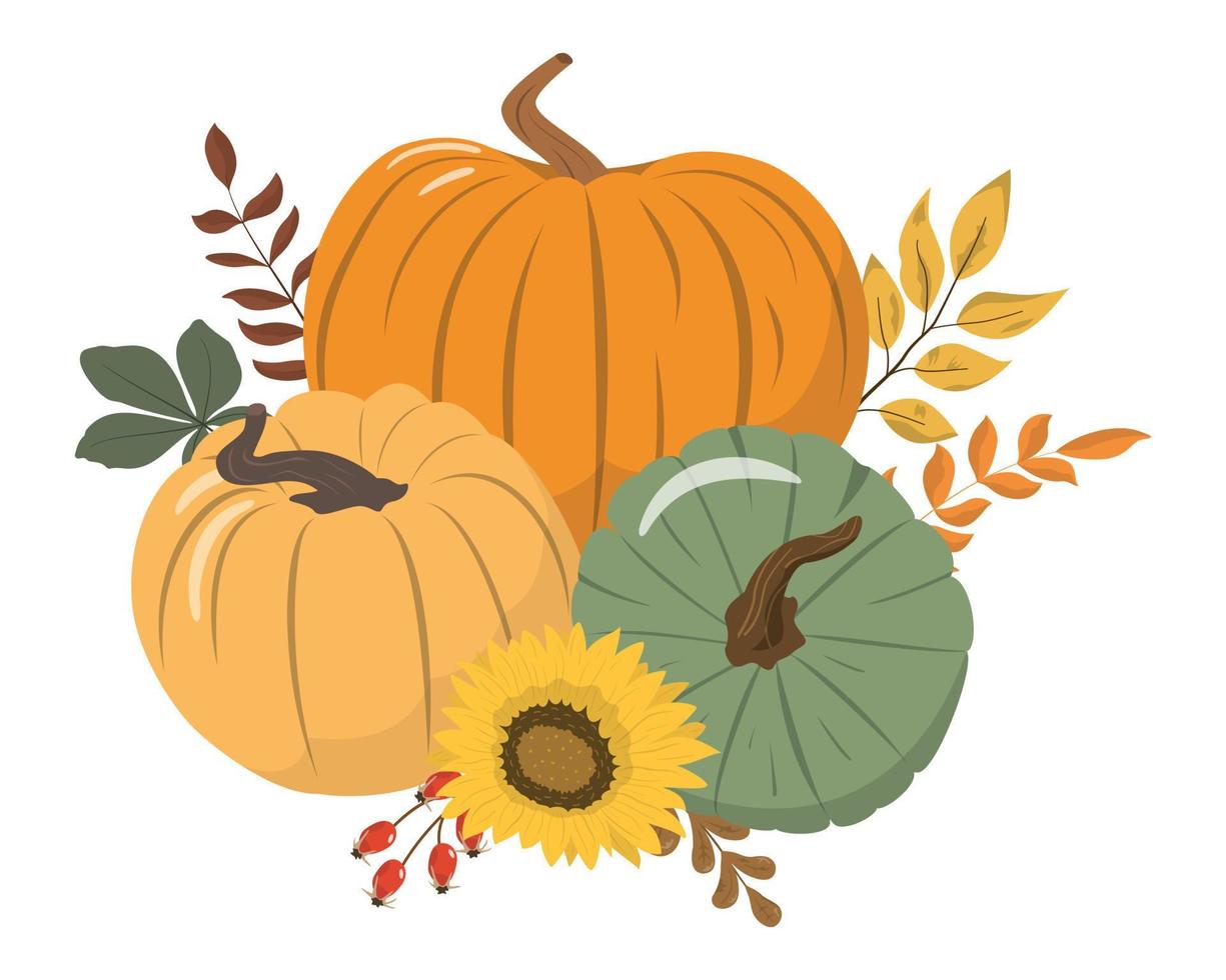 Cartoon harvest or Thanksgiving pumpkins, flowers and forest leaves arrangement Isolated on white background. Seasonal harvest design for greeting or poster. vector