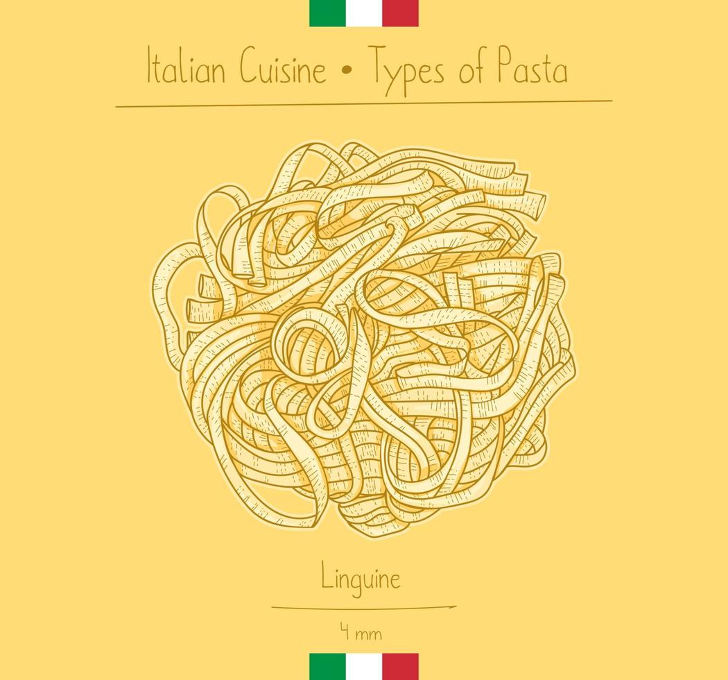 Italian Food Linguine Pasta vector