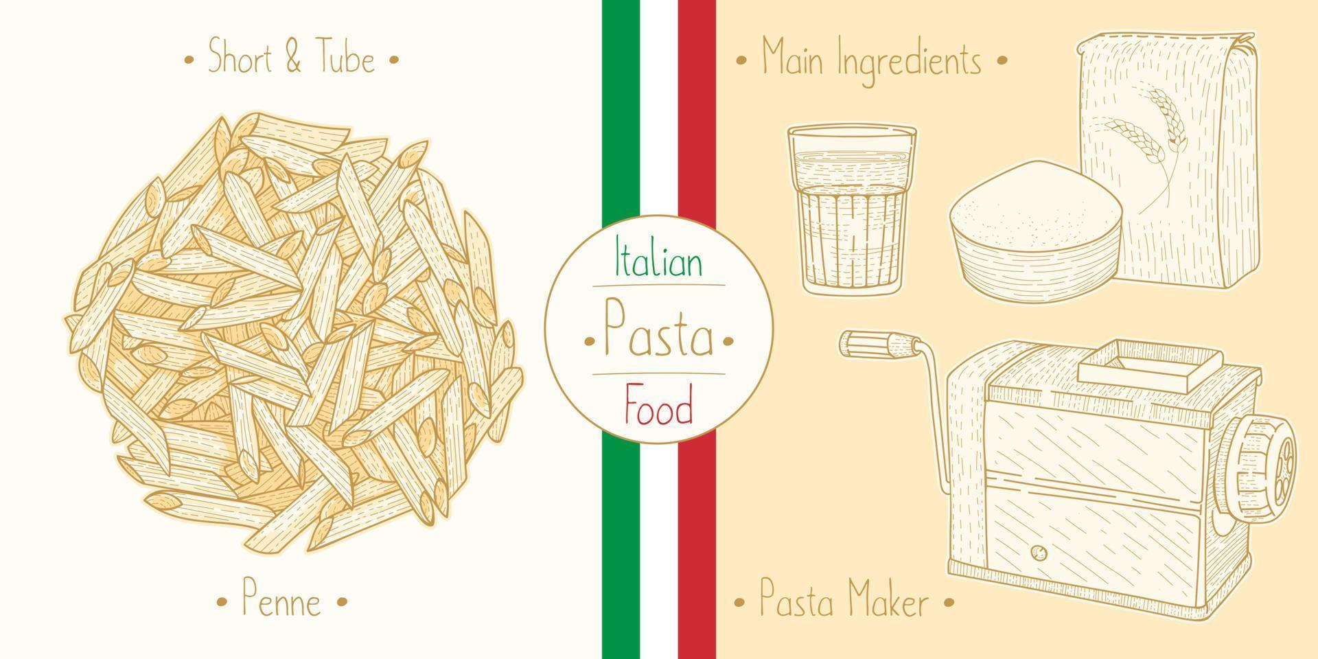 Cooking italian food tube Pasta Penne, ingredients and equipment vector