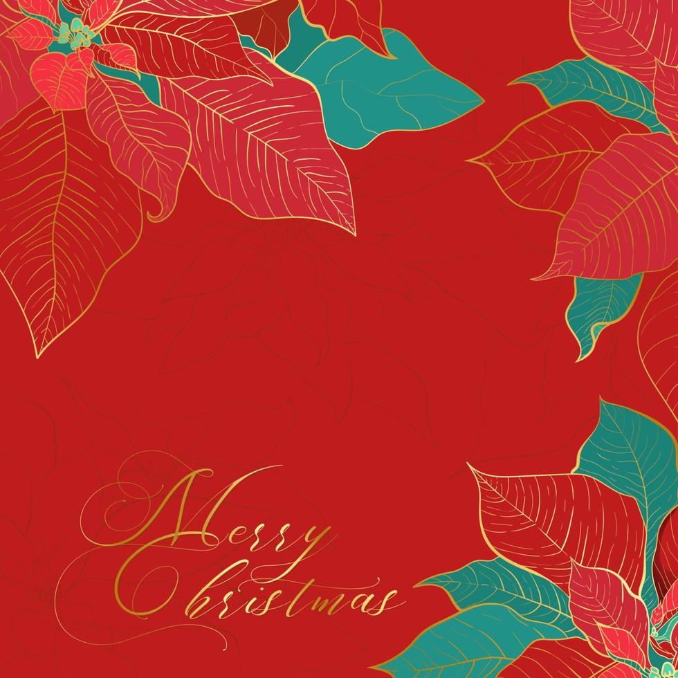 Silk Poinsettia Christmas square red background vector