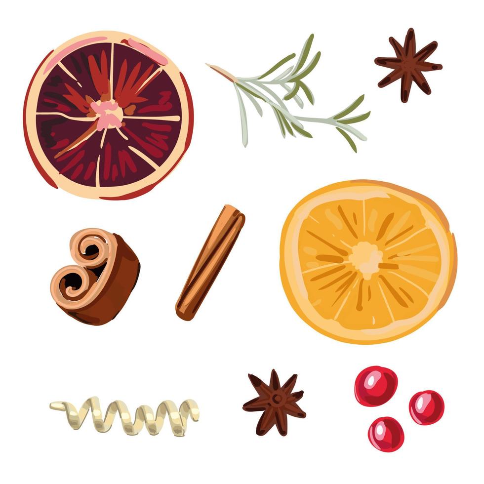 un conjunto de especias para vino caliente naranja, romero, canela, bayas. vector