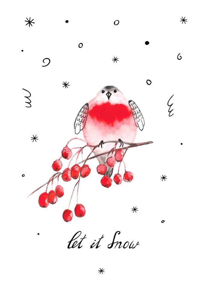 Watercolor bullfinch and rowan berries. Vector template for winter greeting card. Quote let it snow.