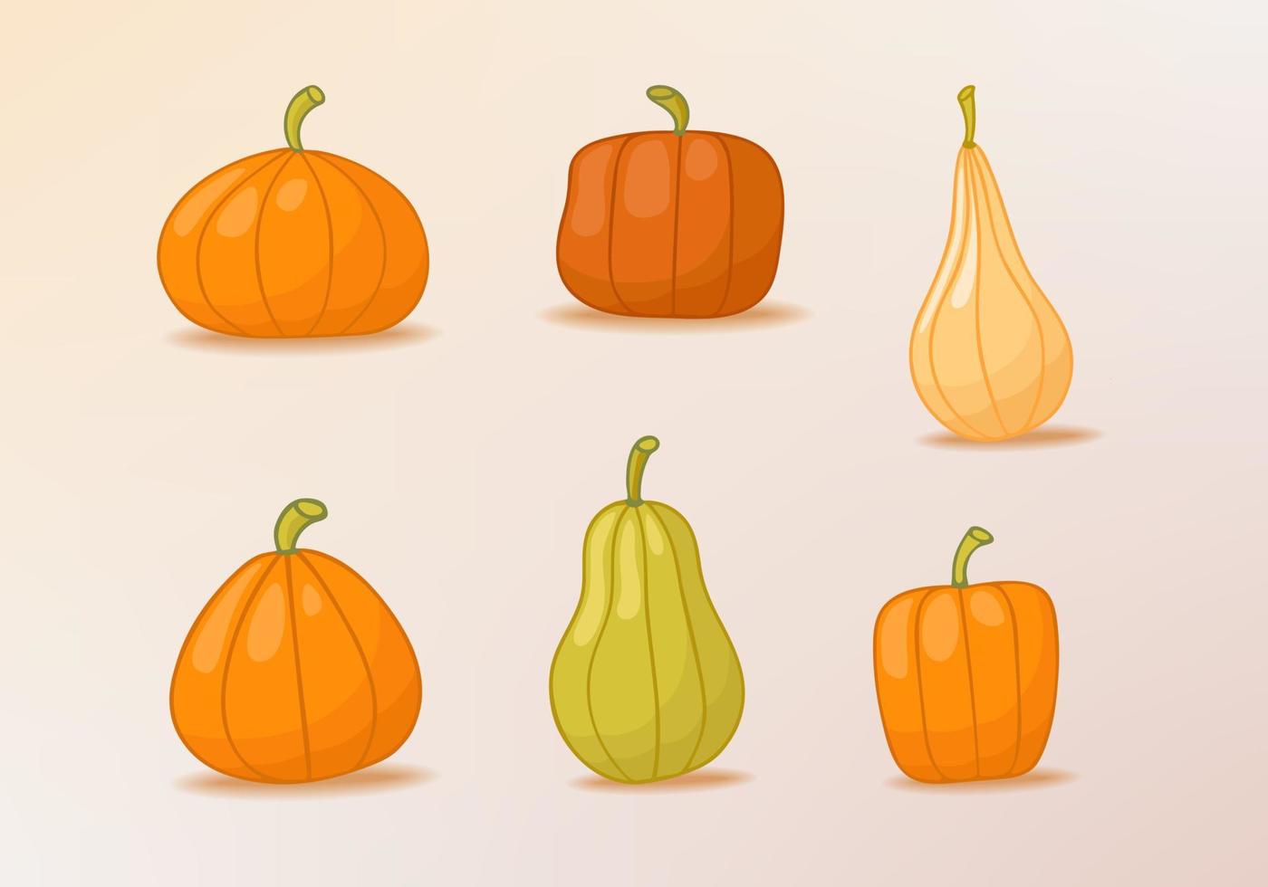 calabaza de varias formas y colores. vector