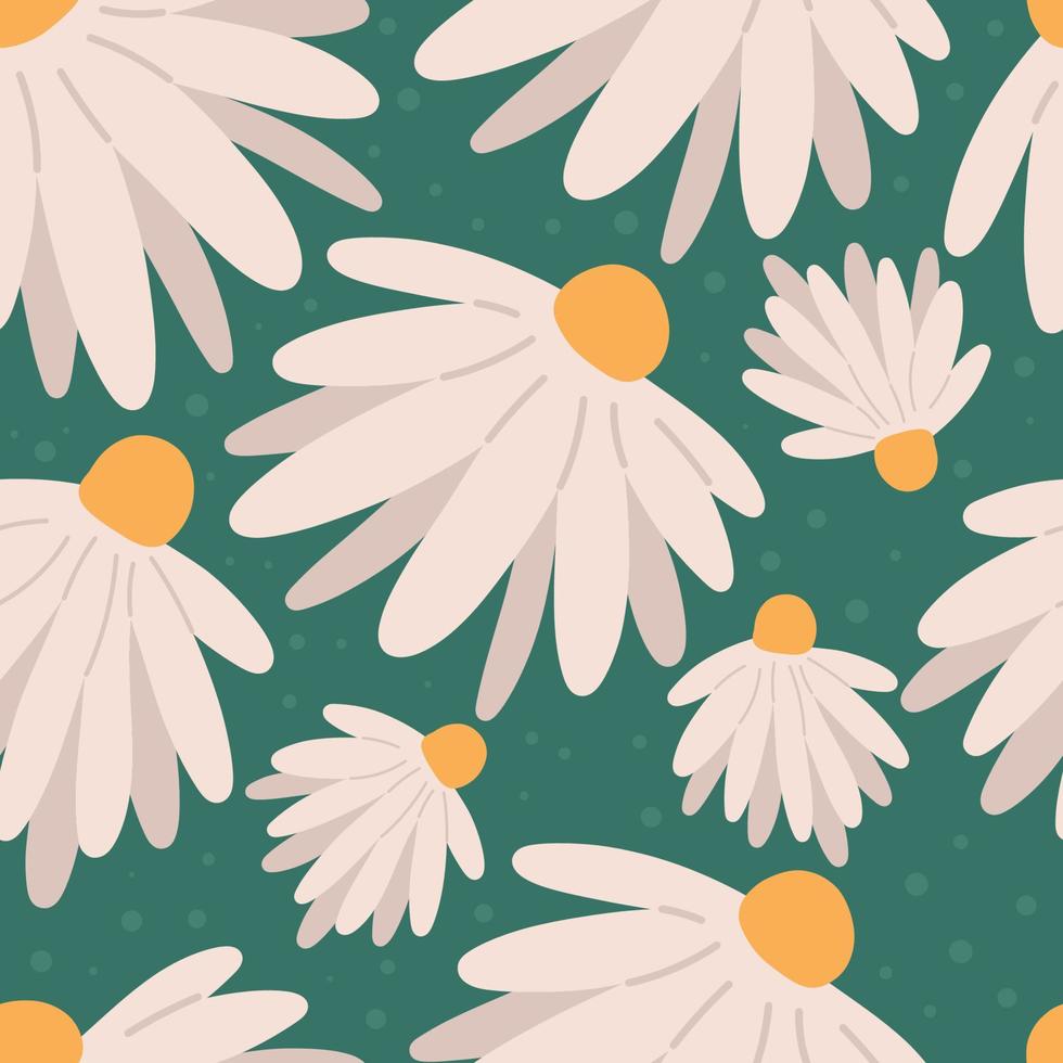 Chamomile floral seamless pattern, flat vector illustration isolated on white background. Hand drawn daisy field. Spring or summer flowers.