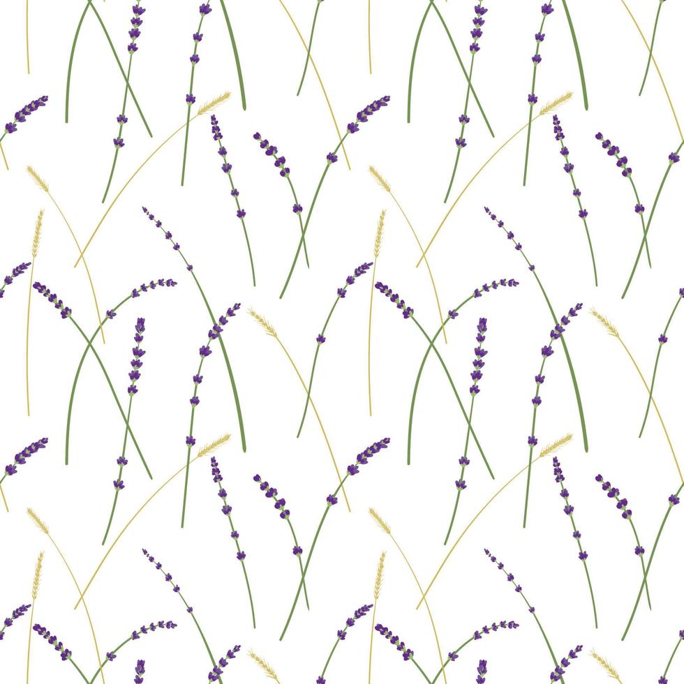 Lavender and wheat pattern vector