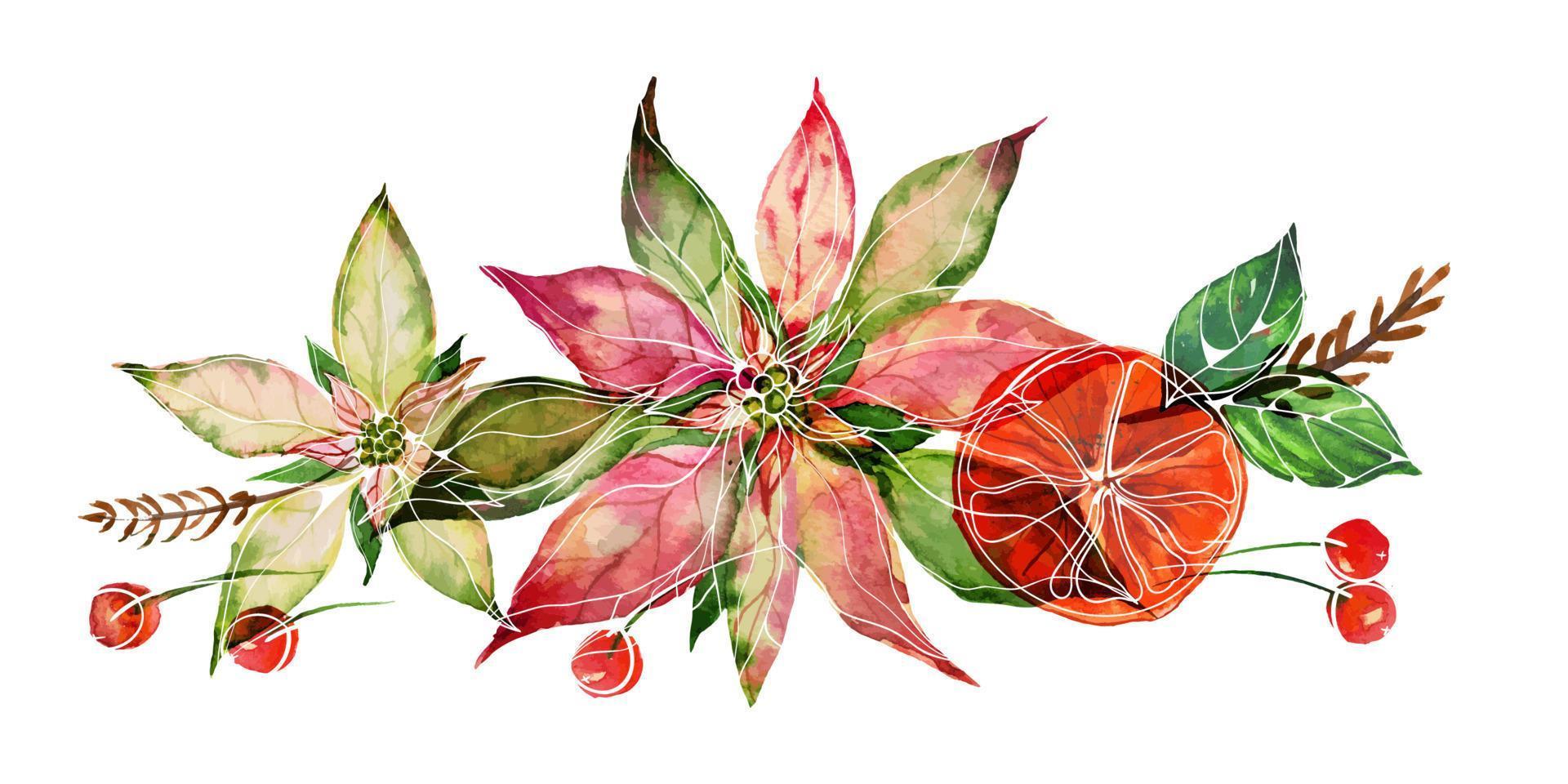 composición de acuarela navideña con poinsettia y frutos rojos vector