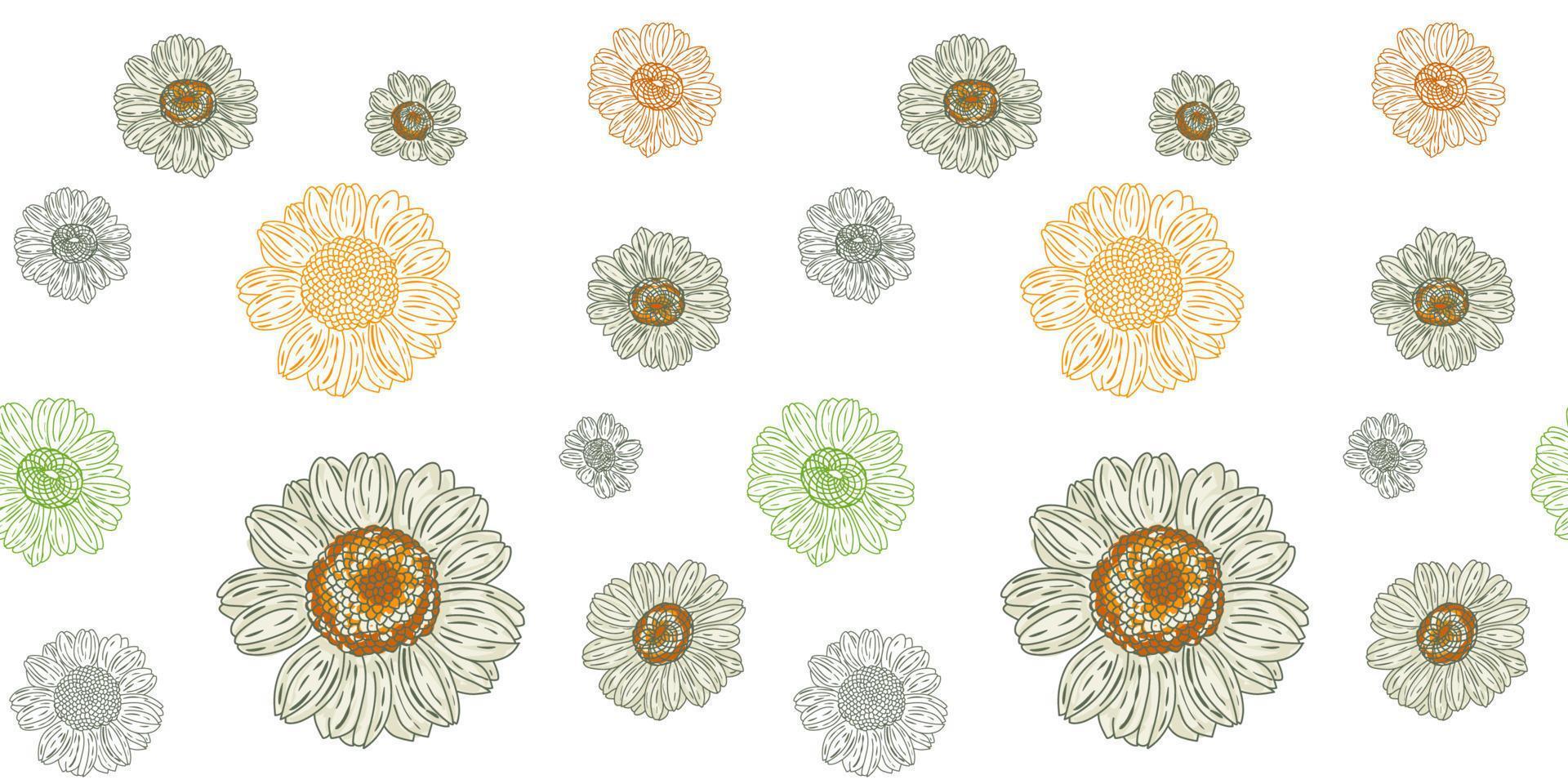 Daisy flower seamless pattern vector