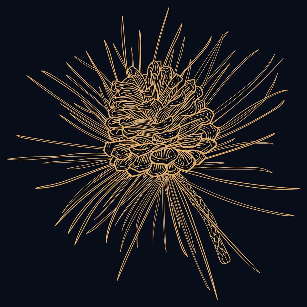 Vintage line art fir branch with golden cone vector