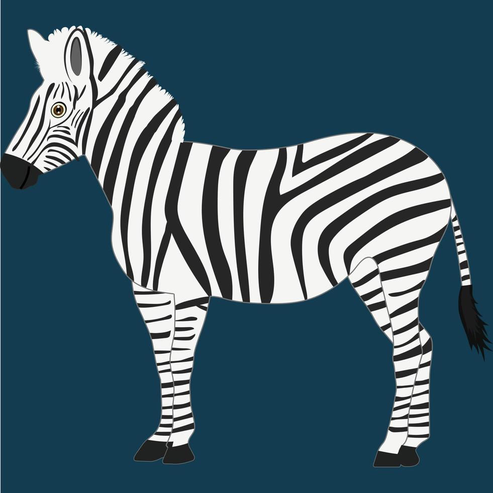 An Isolated Zebra Vector Illustration Graphic