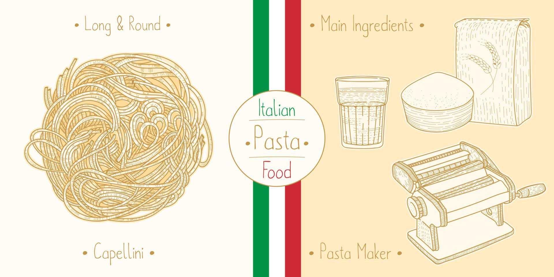 Cooking italian food Sphagetti-like Angel Hair Pasta Capellini, ingredients and equipment vector