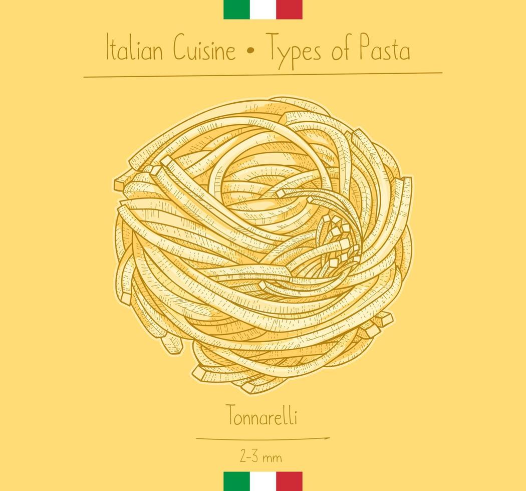 Italian Food Spaghetti Chitarra aka Tonnarellle Square Pasta vector