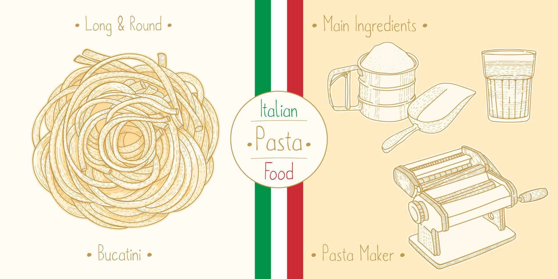 Cooking italian food Sphagetti-like Pasta Bucatini, ingredients and equipment vector