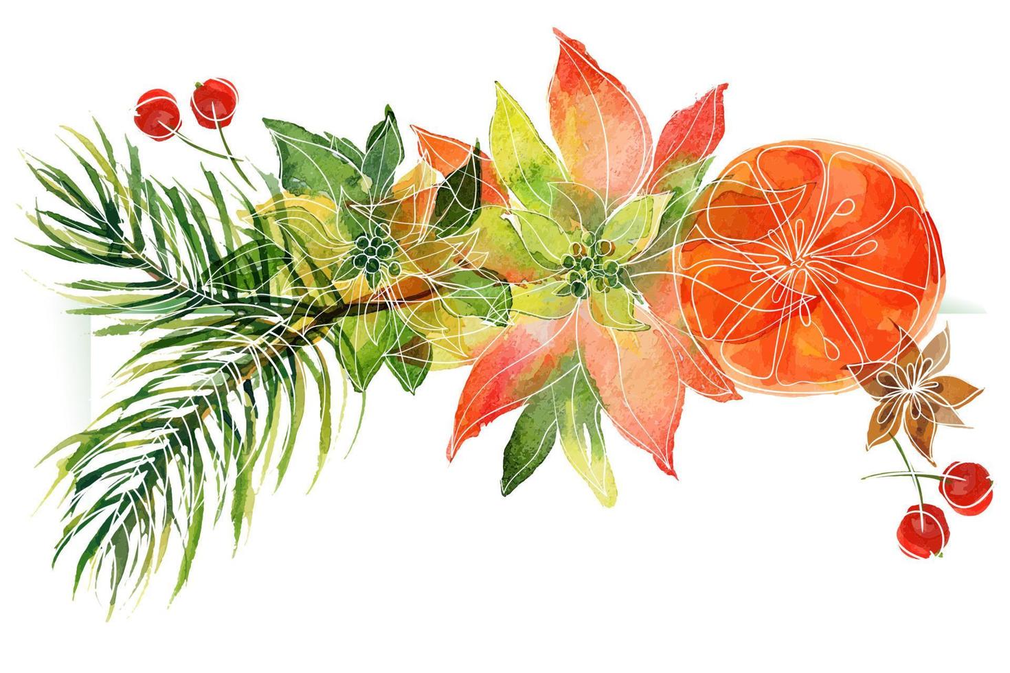 Christmas floral vignette with oranges and poinsettia and pine branches vector