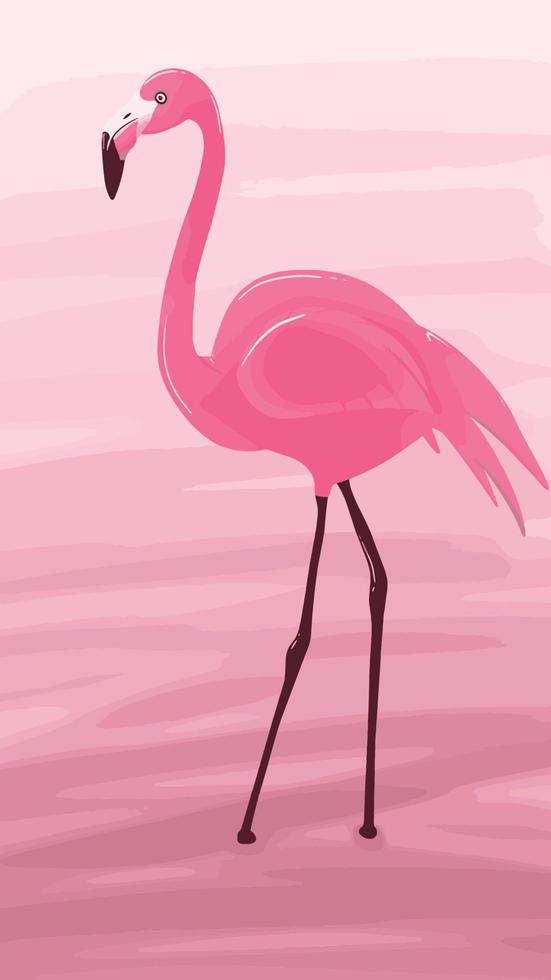 Pink flamingo vector