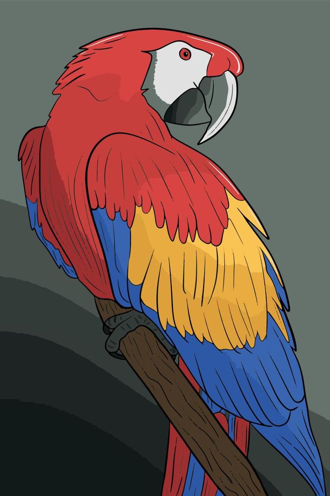 ilustración de guacamaya roja vector