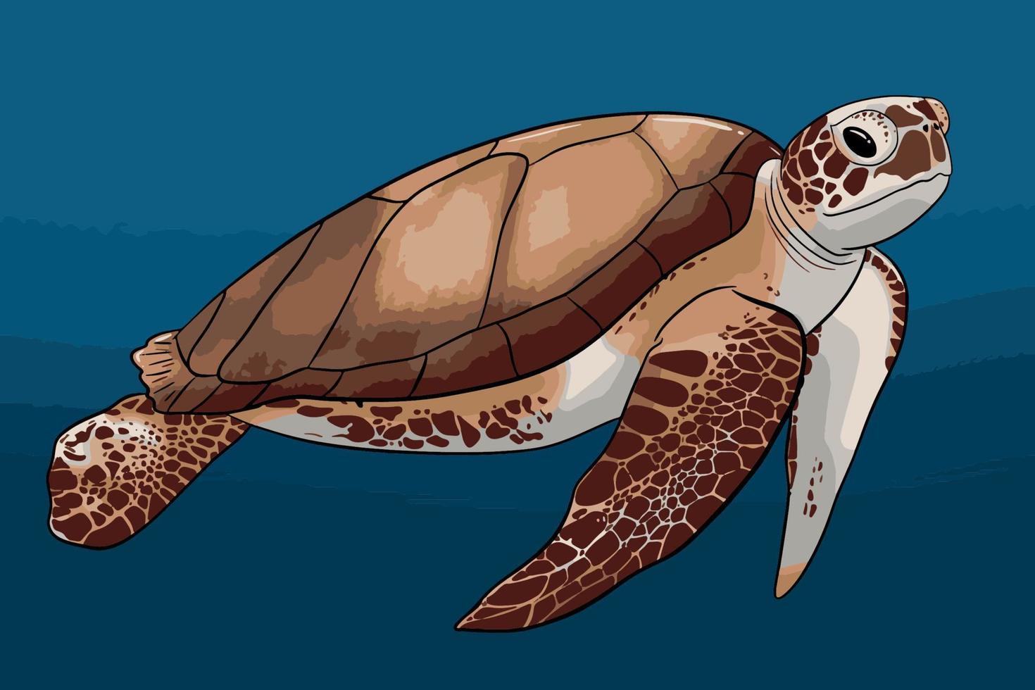 Sea turtle vector