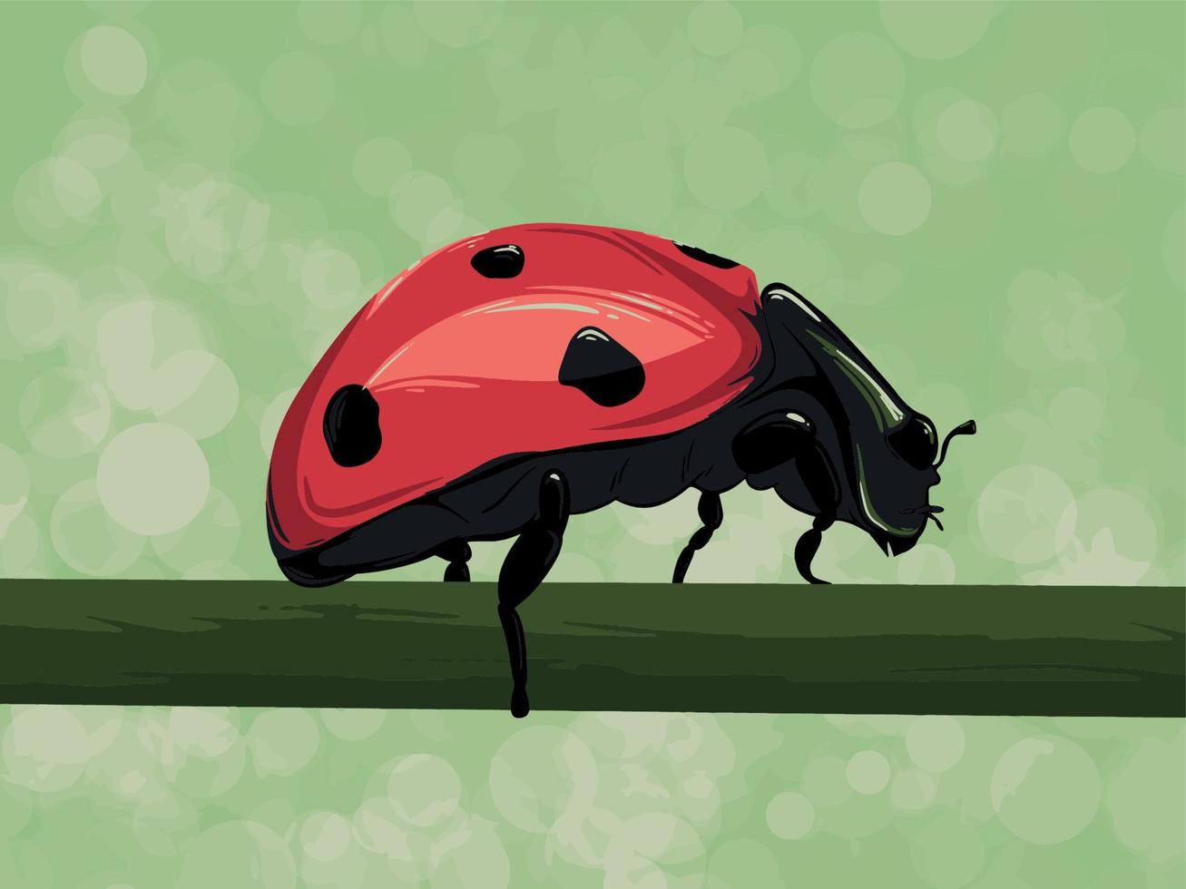 Illustration of Ladybug on stem vector