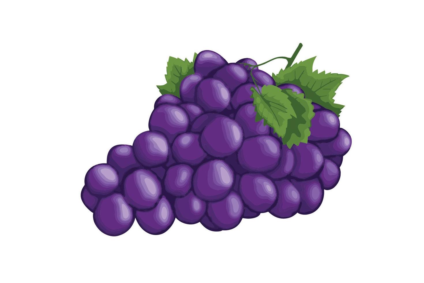 ilustración de uvas vector