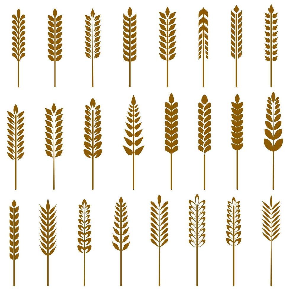 Wheat icon set. simple style organic local farm fresh food, bakery themed design. Vector illustration