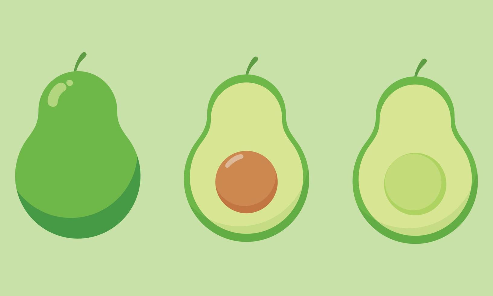 Fresh half avocado isolated on white background. Organic food. Cartoon style. Vector illustration for design