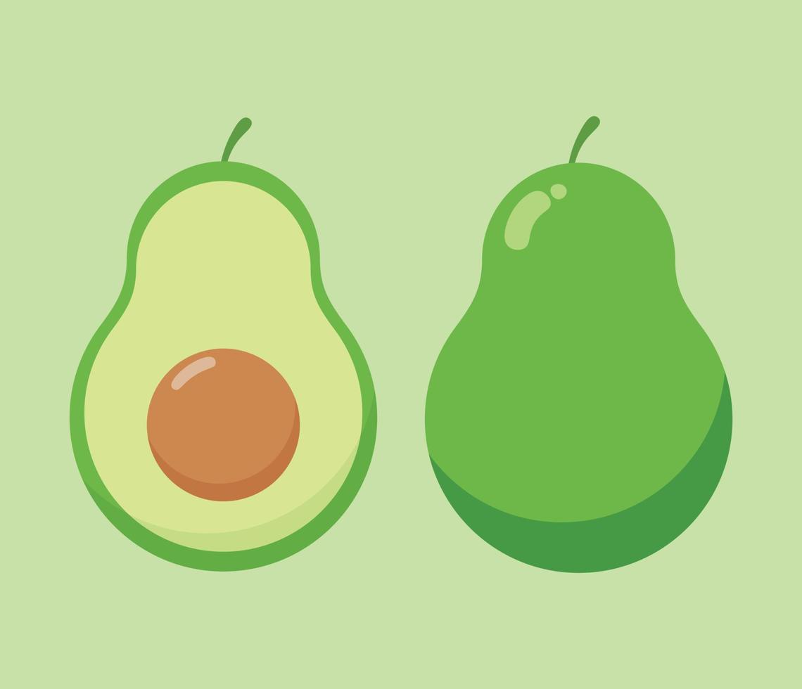 Medio aguacate fresco aislado sobre fondo blanco. alimentos orgánicos. estilo de dibujos animados ilustración vectorial para el diseño vector