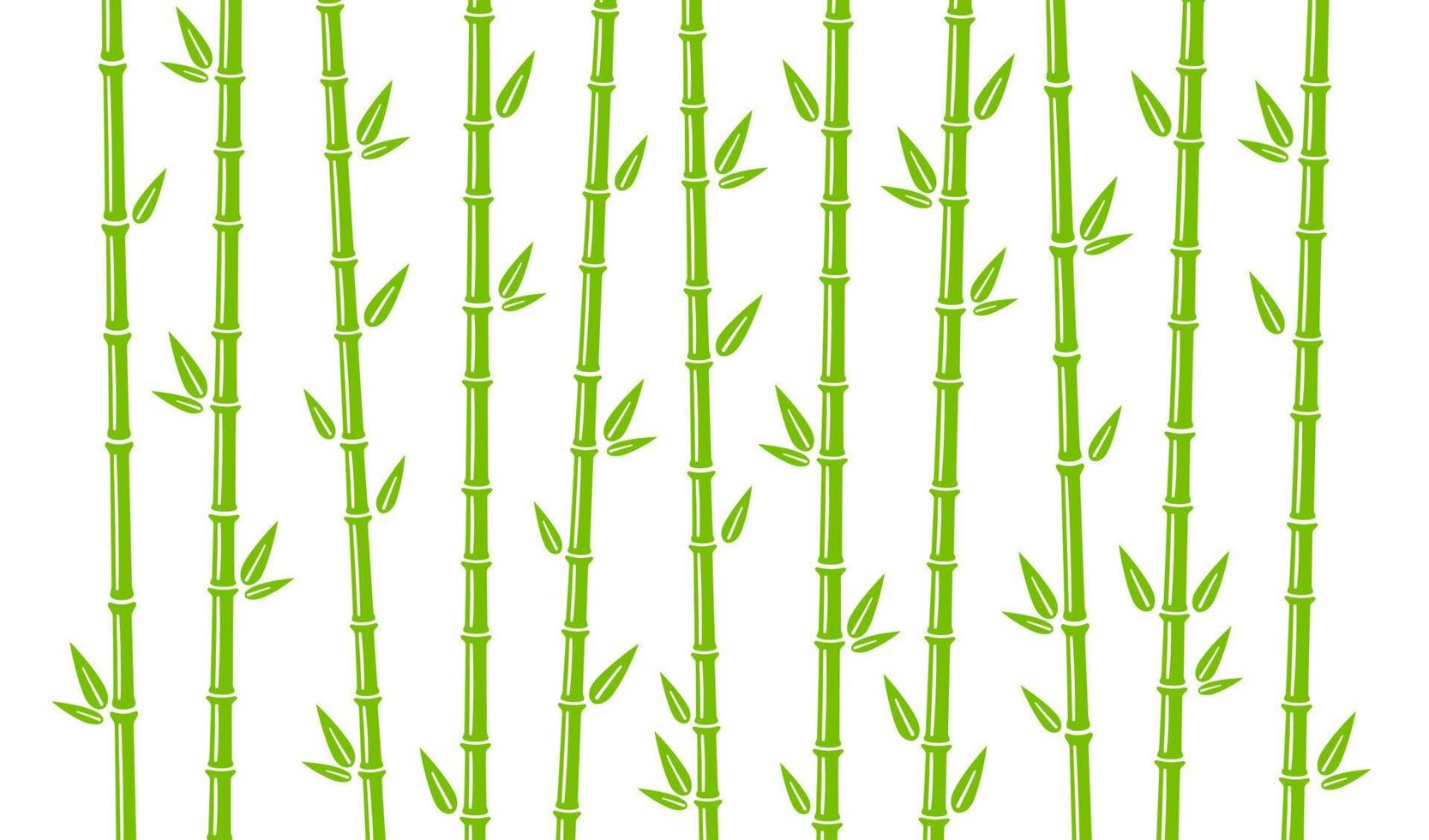 Bamboo background with stalk, branch and leaves. Green bamboo grove backdrop design. Vector illustration isolated in flat style on white background