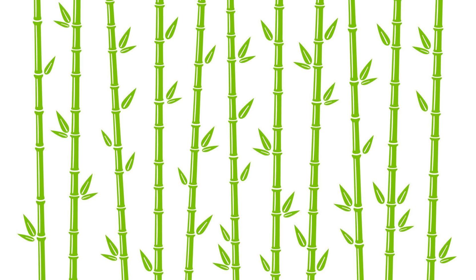 fondo de bambú con tallo, rama y hojas. diseño de fondo de bosque de bambú verde. ilustración vectorial aislada en estilo plano sobre fondo blanco vector