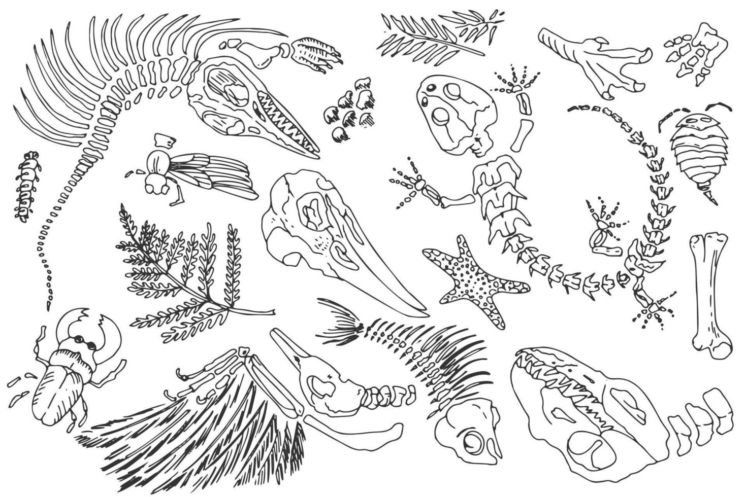 Isolated Black line contour imprints skeletons of prehistoric animals, insects and plants. Set of archeology, crack rocks fragments , debris boulders. Set of realistic hand drawn art. Vector. vector