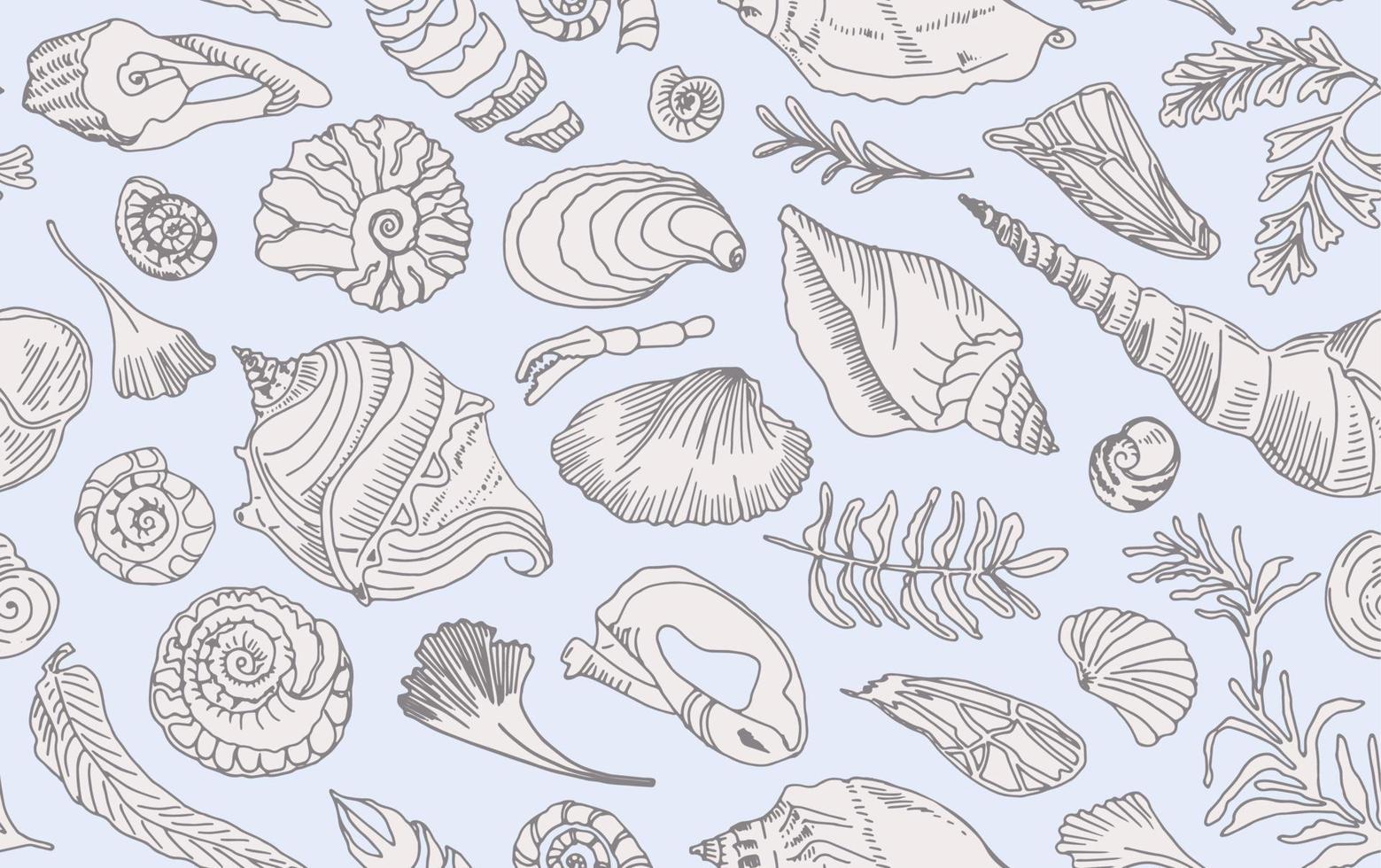 contorno de arte de línea aislado conchas marinas y plantas de patrones sin fisuras conchas oceánicas dibujadas a mano o concha molusco vieira mar submarino animal fósil náutico y acuario, tema marino. ilustración vectorial vector