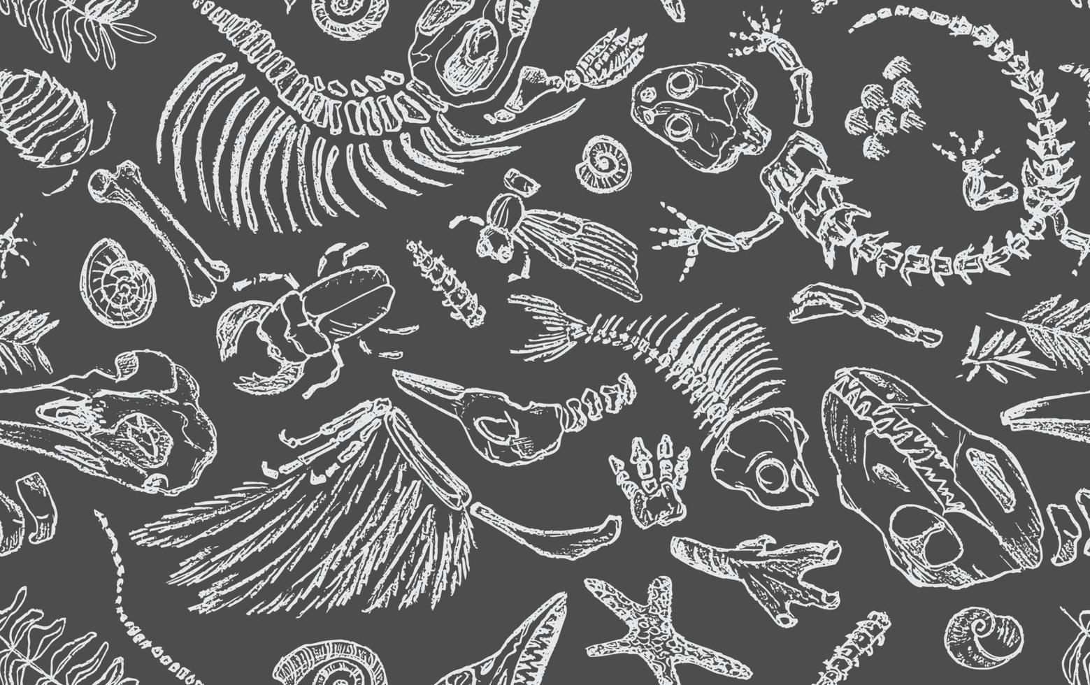 el contorno de tiza blanca aislada imprime esqueletos de animales prehistóricos, insectos y plantas. arte dibujado a mano realista de patrones sin fisuras. ilustración vectorial vector