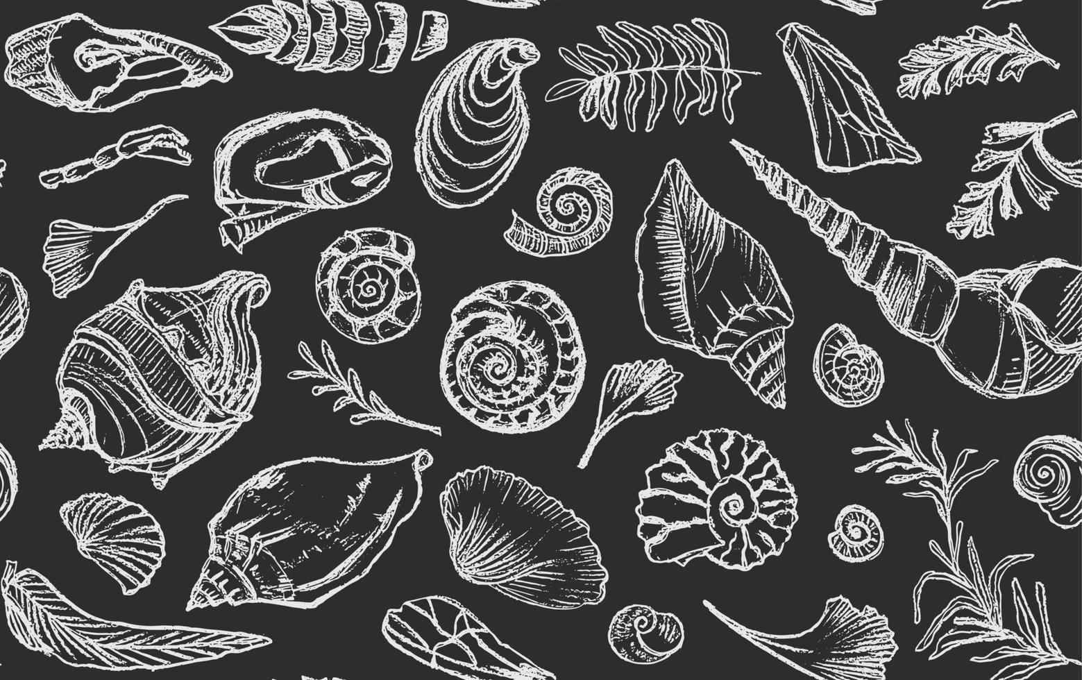 Isolated white chalk contour seashells and plants Seamless pattern Hand drawn ocean shell or conch mollusk scallop Sea underwater animal fossil Nautical and aquarium, marine theme. Vector illustration