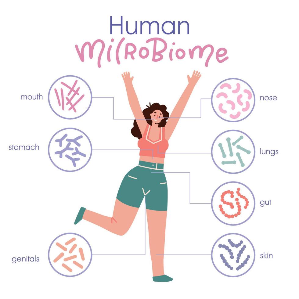 Different types of human microbiome. Infographic with girl character. Intestine, mouth, skin, genitals microflora with healthy probiotic bacteria. Flat medicine illustration of microbiology checkup. vector