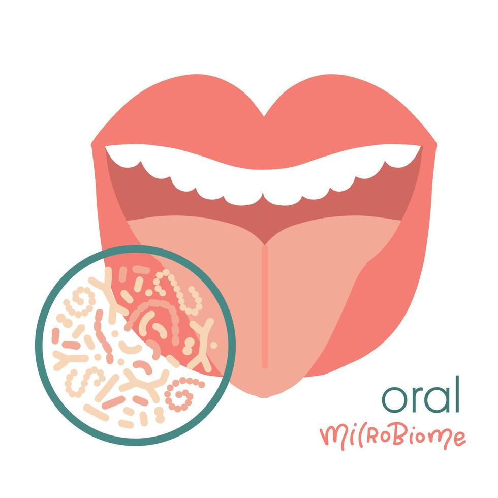 Human Oral microbiome isolated concept. Healthy probiotic bacteria in open mouth. Tooth and tongue microbiota - lactobacillus, streprococcus. Flat hand drawn vector illustration.