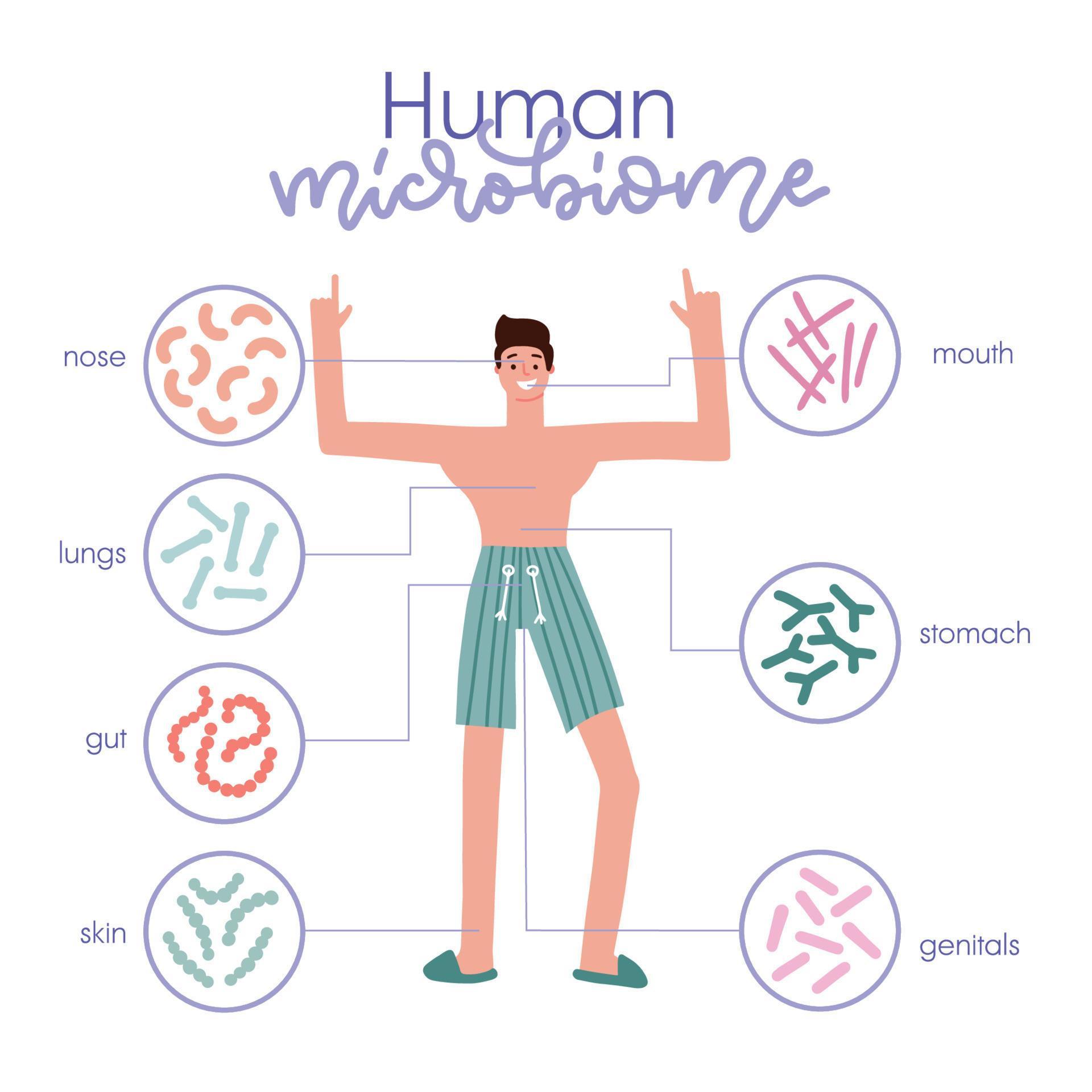 Different types of human microbiome. Infographic with a man character